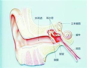 �ж��׵��׶Դ�����û��Σ��?