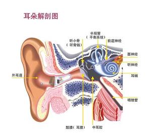 �������С����������