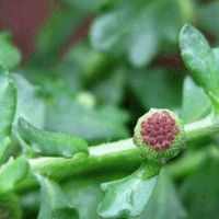 ��Ϣ��ĳ�ʶ��֪����?